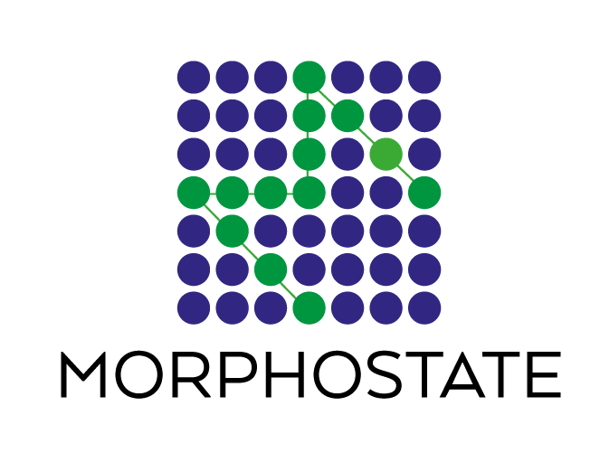 dieses Bild zeigt das Logo von Morphostate